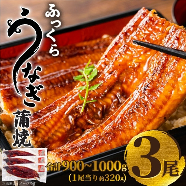 ふっくら大判うなぎ蒲焼　計約960ｇ（約320g×3尾）