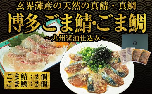 長浜市場水揚げ天然　ごま鯖＆ごま鯛（各2パック）