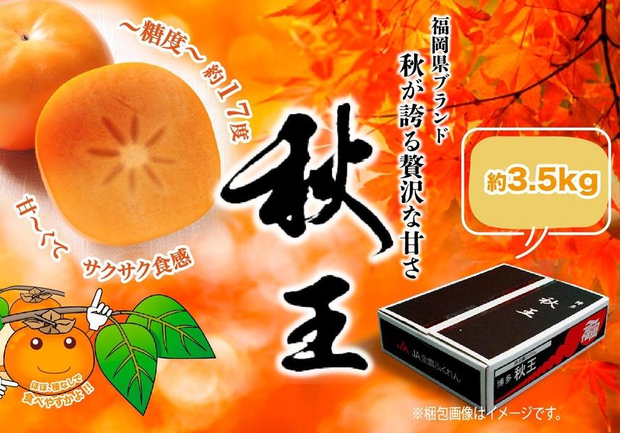 ＜2026年発送分・先行予約＞秋王　約3,5kg 　