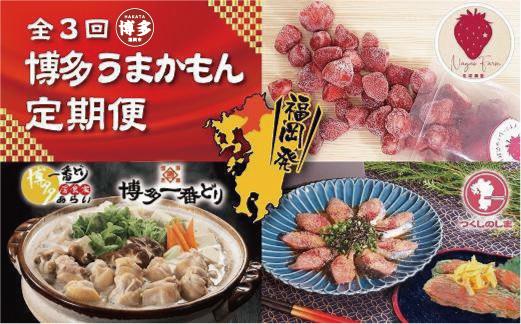 博多うまかもん３回定期便 あまおう1.5kg・水炊き2～3人前・ごま鯖2パック・明太子180g