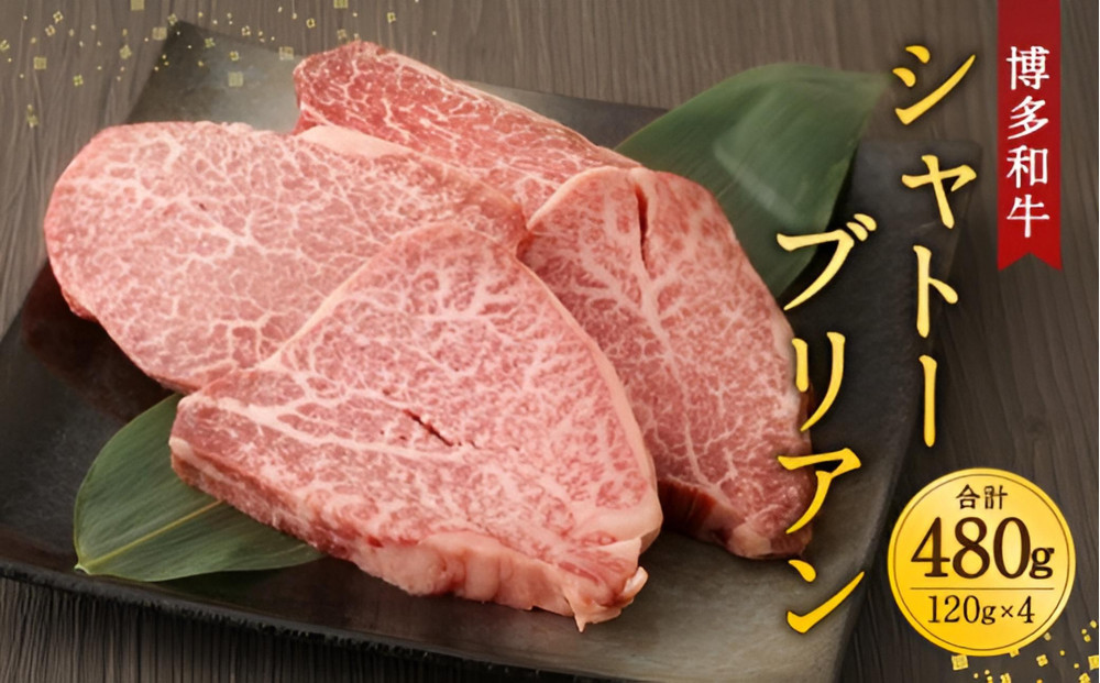 博多和牛シャトーブリアン　480g　