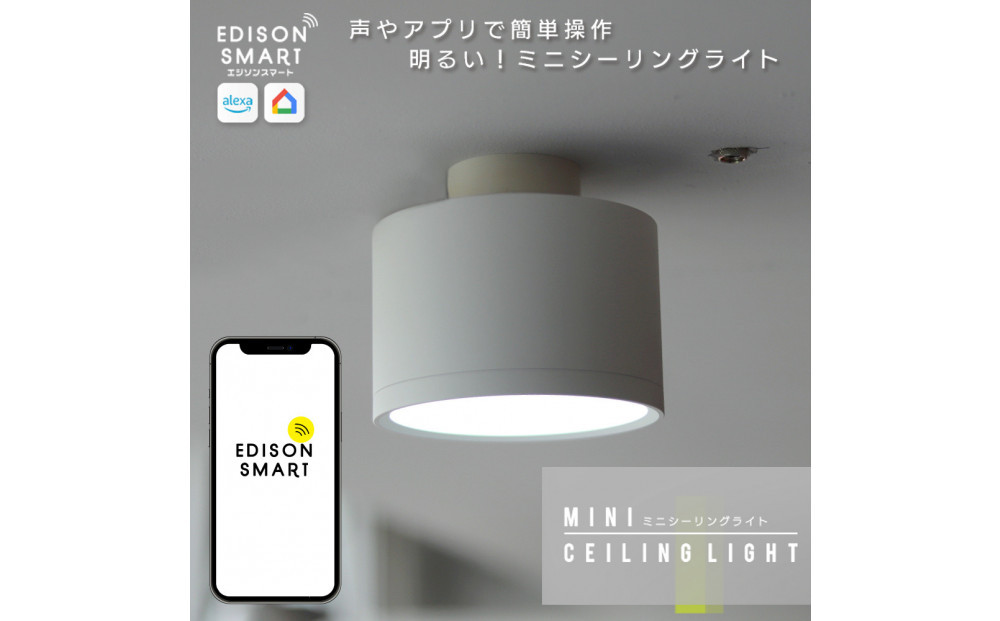 エジソンスマートミニシーリングライト 引掛けシーリング用 【カラー選択可】 福岡市
