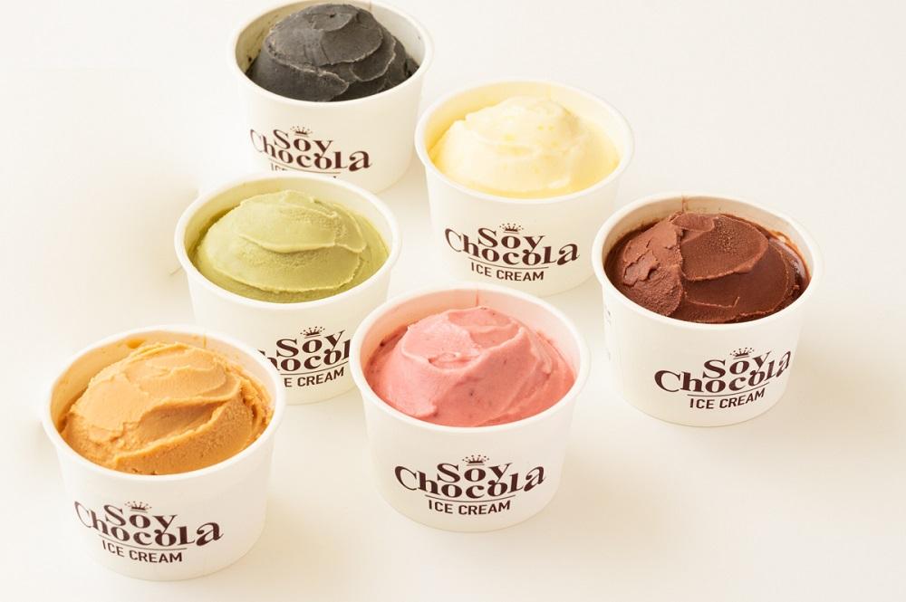 【福岡市 Soy Chocola】ヴィーガンSOYアイスクリーム　６個セット（ミニカップ６種類）（100%植物性・グルテンフリー