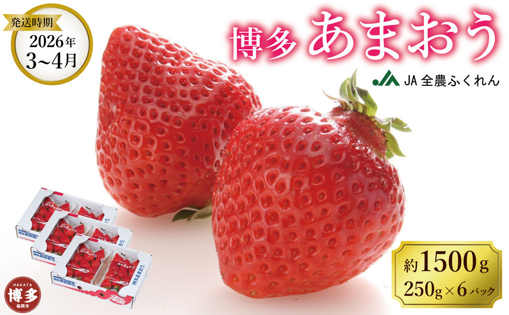 ＜2026年3月～4月発送＞博多あまおう約250ｇ×６