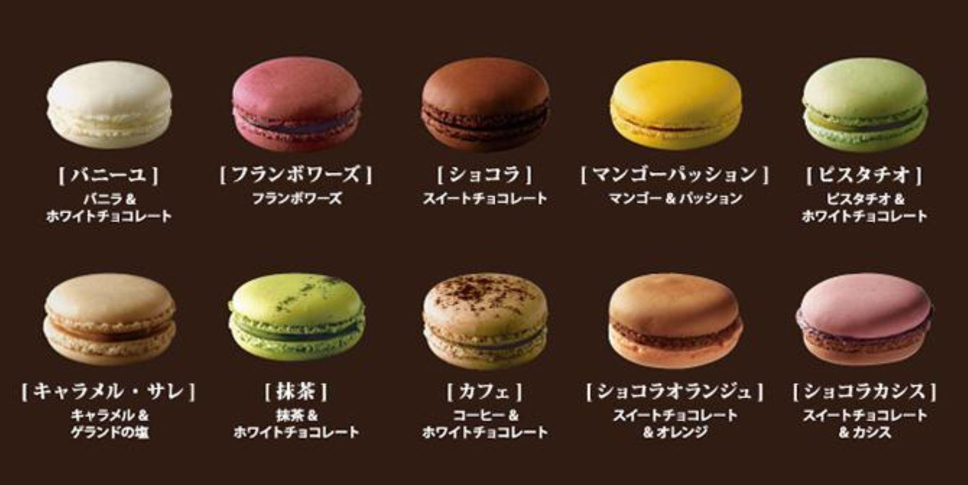 【定期便全6回】【福岡市】生マカロン（10個）×２箱セット