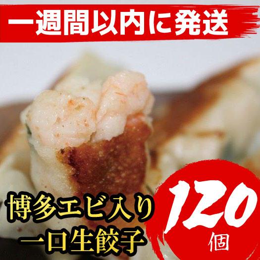 博多エビ入り一口生餃子 120個 小分け便利8パック　創業40年以上福岡老舗会社製造　【1週間以内に発送！】