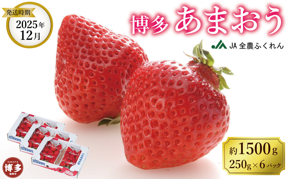 【数量限定】＜2025年12月発送＞博多あまおう約250ｇ×６