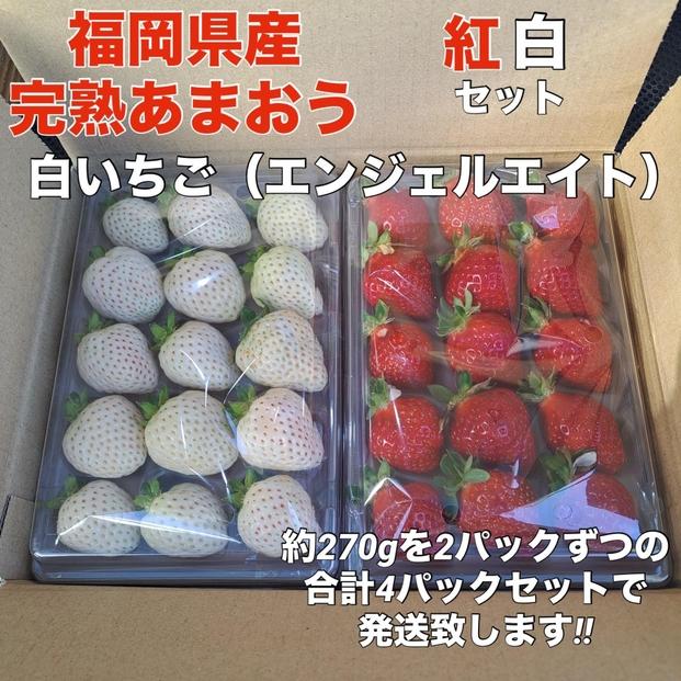 福岡県産完熟あまおう:白いちご（エンジェルエイト）各2パック（約270g×計4パック）
