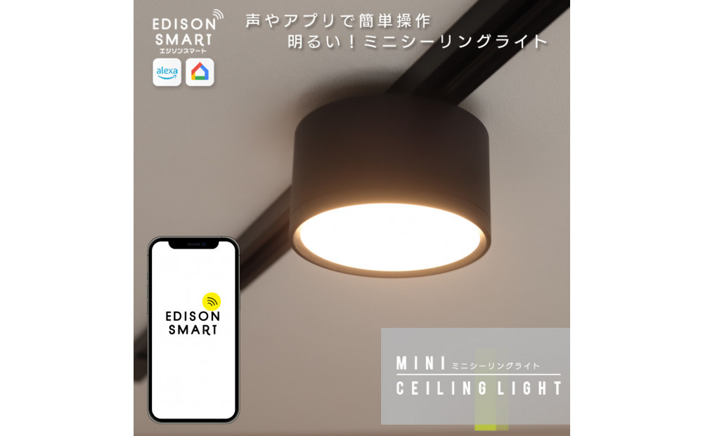 エジソンスマートミニシーリングライト for ダクトレール 【ブラック】 福岡市