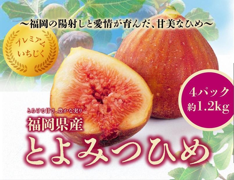 とよみつひめ　４パック約1200gセット