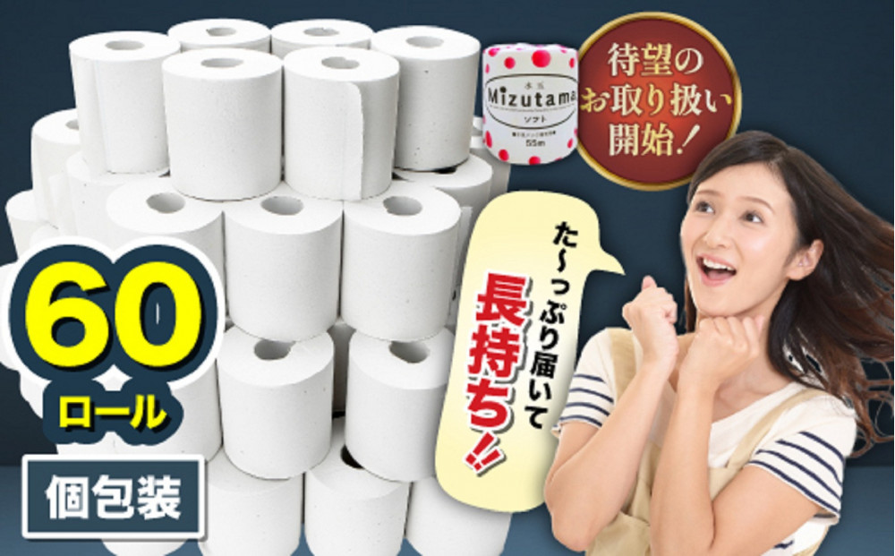 トイレットペーパー 水玉 55ｍ×60個【福岡市】