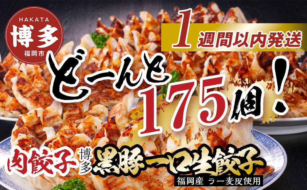【175個!!】【福岡ブランド】博多黒豚一口生餃子 7パック小分　福岡県産ラー麦皮使用　創業40年以上福岡会社製造　【1週間以内