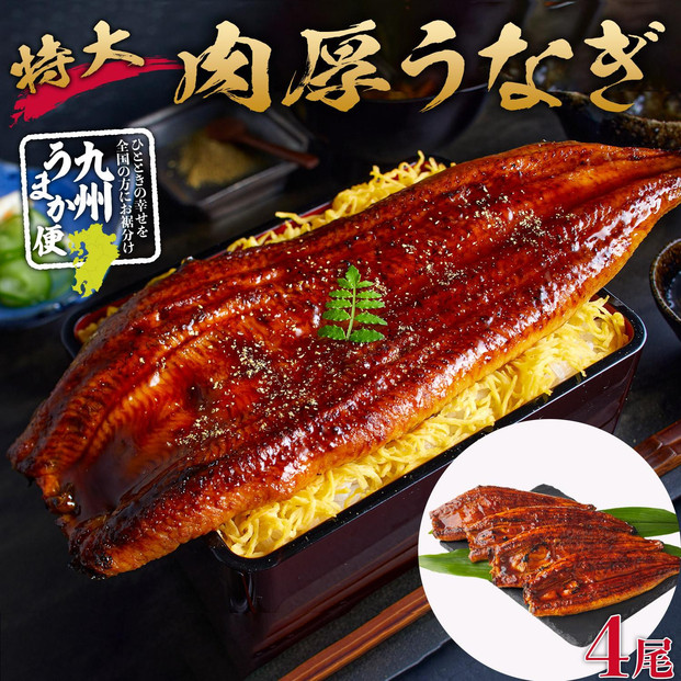 特大うなぎ蒲焼き無頭1本もの4尾セット 福岡市（中国産）