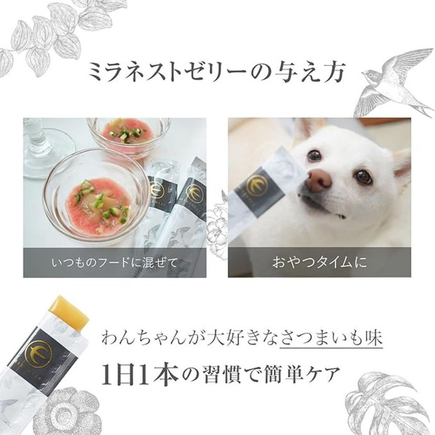 ミラネストゼリースティック FOR DOG 12g × 30本【福岡市】犬用