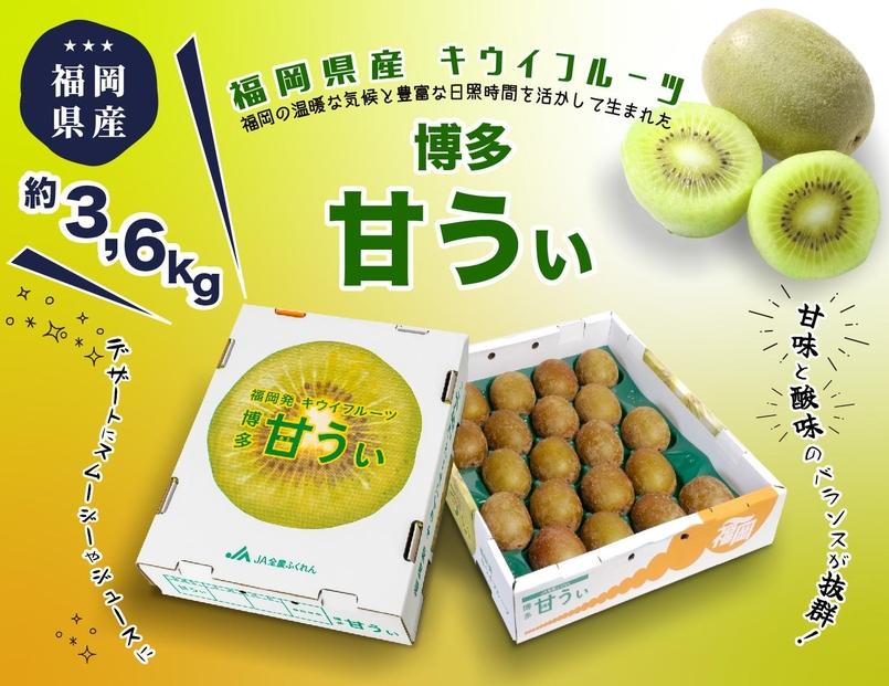 ＜2026年発送分・先行予約＞博多「甘うい」の贅沢果実　約3.6kg