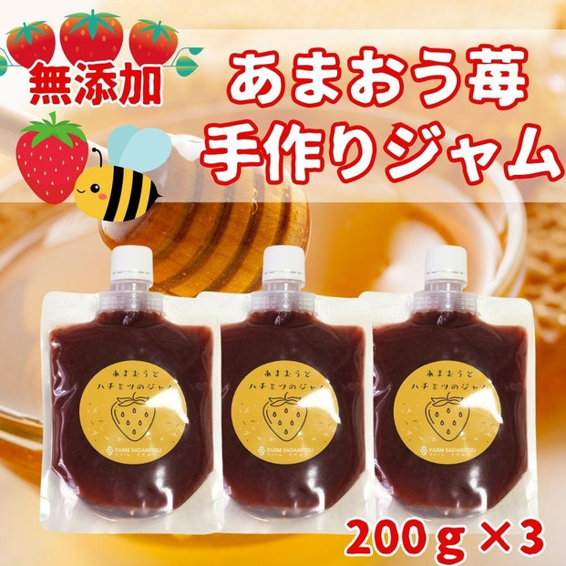 いちごジャム 無添加 あまおうとハチミツのジャム 200g×3袋 手作り 国産 チューブ パウチ入り