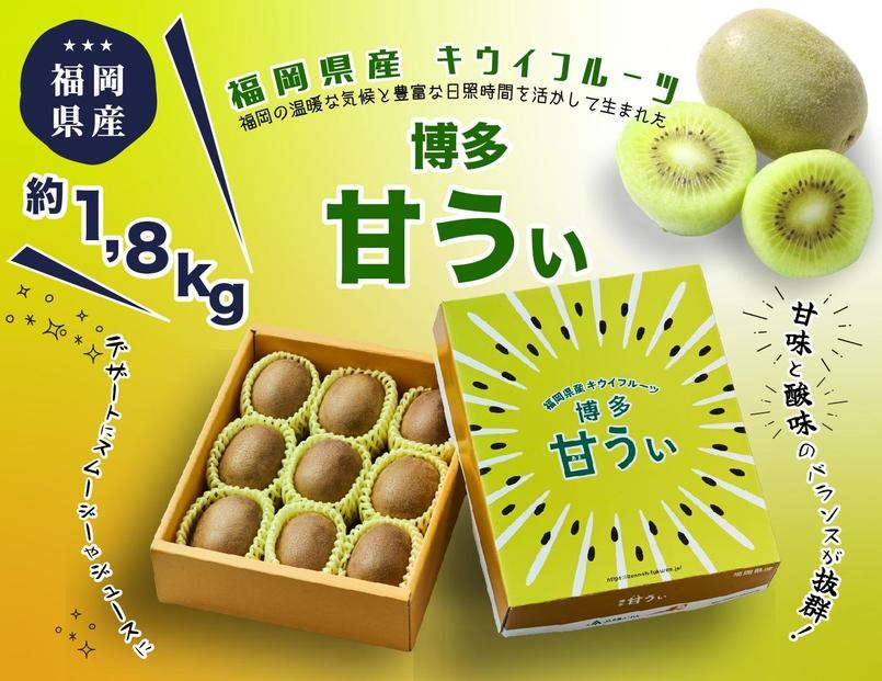 博多「甘うい」の贅沢果実 約1.8kg