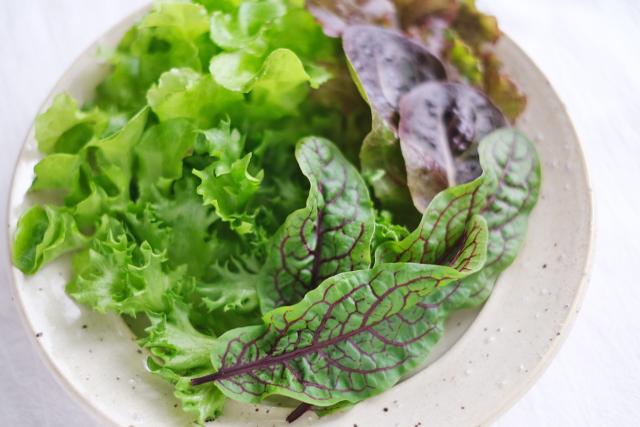 お皿に盛り着けされた5種類の野菜